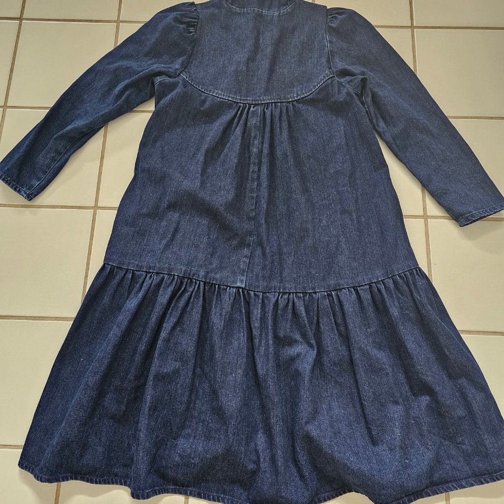 Aliya Wanek Denim Dress - Picture 5 of 5